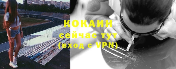 дурь Алексин