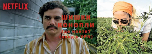дурь Алексин