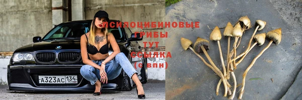каннабис Алексеевка